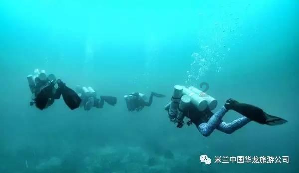 逃离声望森林