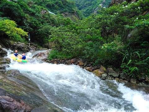 手持式电子压力测痛仪